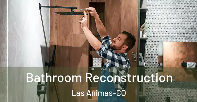 inner Bathroom imggen Bathroom Reconstruction Las Animas-CO