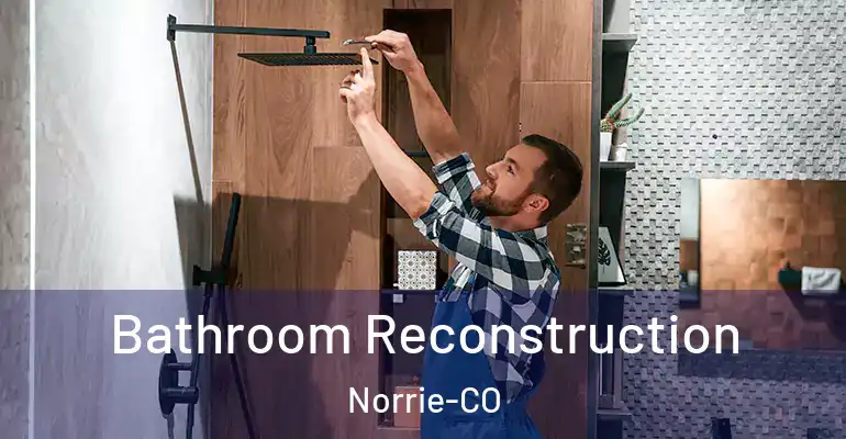 inner Bathroom imggen Bathroom Reconstruction Norrie-CO
