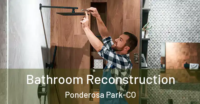 inner Bathroom imggen Bathroom Reconstruction Ponderosa Park-CO
