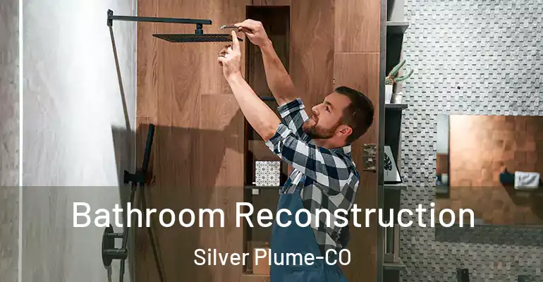 inner Bathroom imggen Bathroom Reconstruction Silver Plume-CO