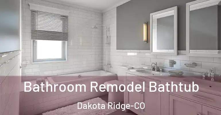 inner Bathroom imggen Bathroom Remodel Bathtub Dakota Ridge-CO