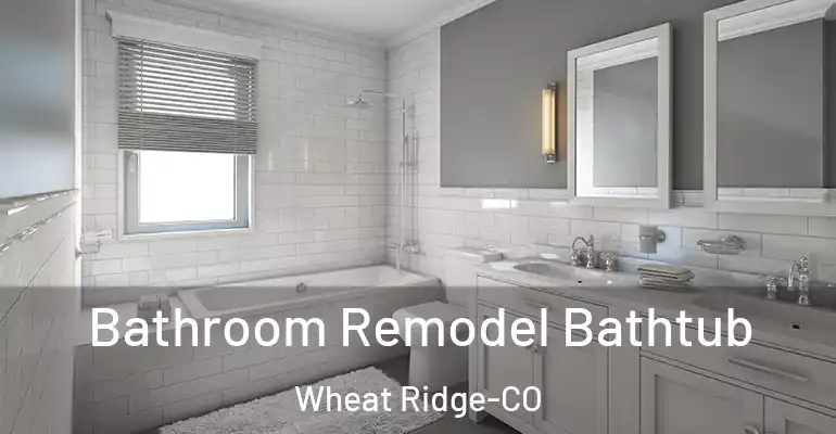 inner Bathroom imggen Bathroom Remodel Bathtub Wheat Ridge-CO