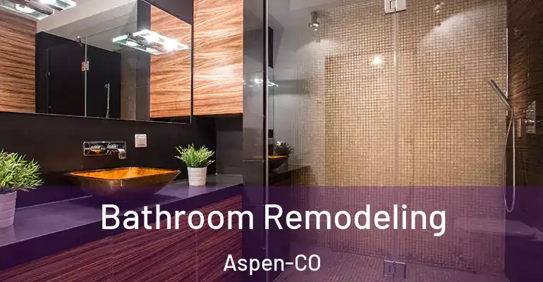 inner Bathroom imggen Bathroom Remodeling Aspen-CO