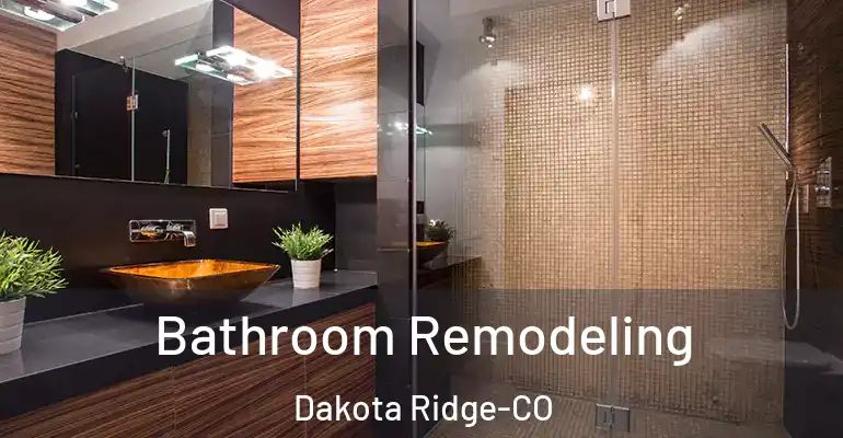 inner Bathroom imggen Bathroom Remodeling Dakota Ridge-CO