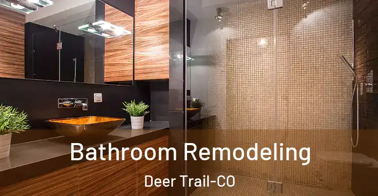 inner Bathroom imggen Bathroom Remodeling Deer Trail-CO