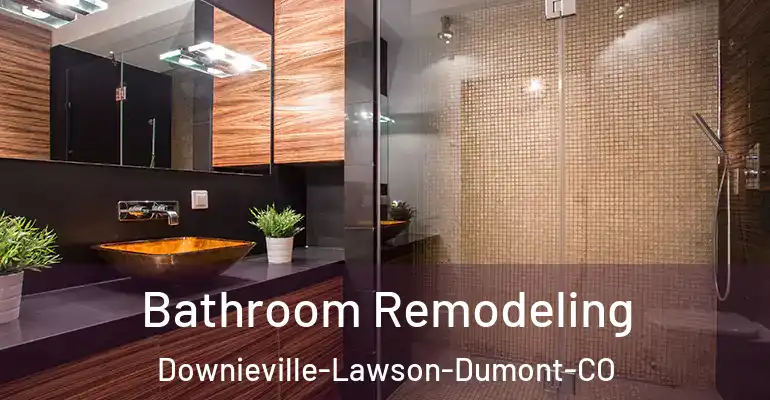 inner Bathroom imggen Bathroom Remodeling Downieville-Lawson-Dumont-CO
