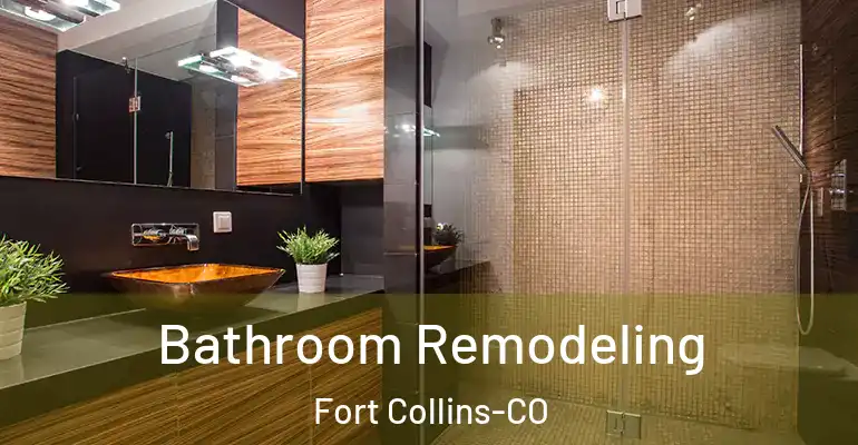 inner Bathroom imggen Bathroom Remodeling Fort Collins-CO