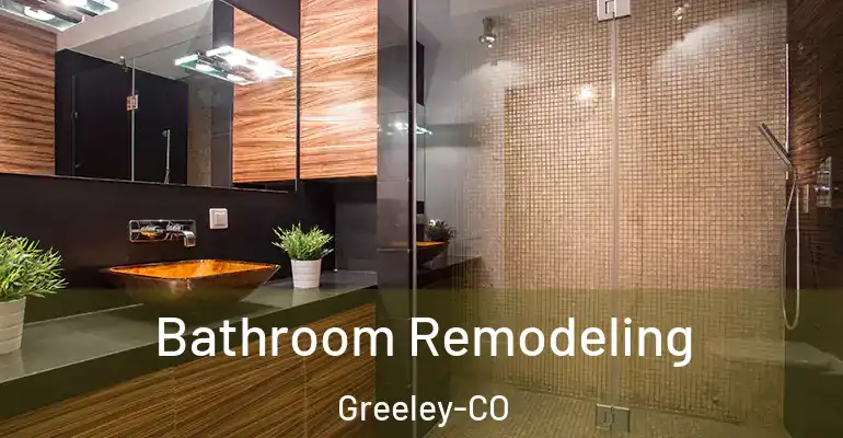 inner Bathroom imggen Bathroom Remodeling Greeley-CO