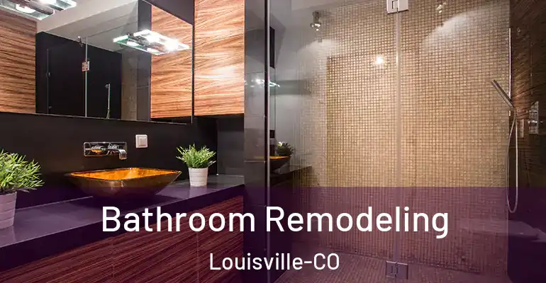 inner Bathroom imggen Bathroom Remodeling Louisville-CO