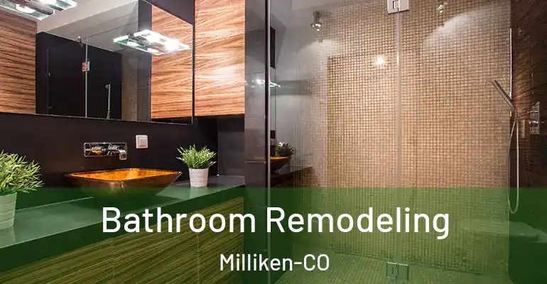 inner Bathroom imggen Bathroom Remodeling Milliken-CO