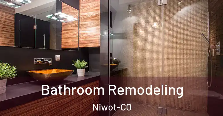 inner Bathroom imggen Bathroom Remodeling Niwot-CO