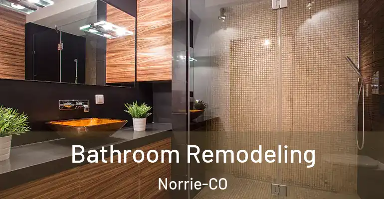 inner Bathroom imggen Bathroom Remodeling Norrie-CO