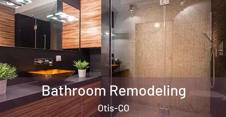 inner Bathroom imggen Bathroom Remodeling Otis-CO