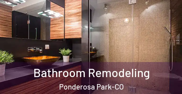 inner Bathroom imggen Bathroom Remodeling Ponderosa Park-CO