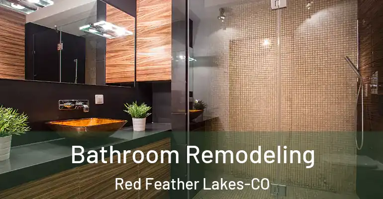 inner Bathroom imggen Bathroom Remodeling Red Feather Lakes-CO