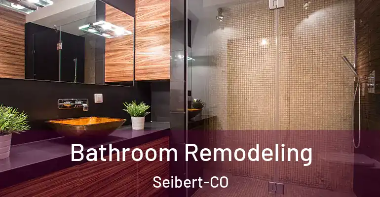 inner Bathroom imggen Bathroom Remodeling Seibert-CO