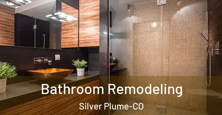 inner Bathroom imggen Bathroom Remodeling Silver Plume-CO