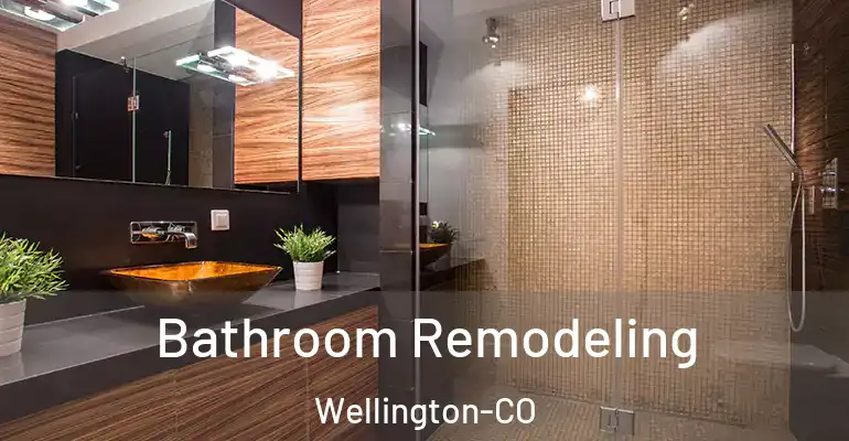 inner Bathroom imggen Bathroom Remodeling Wellington-CO