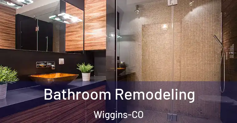 inner Bathroom imggen Bathroom Remodeling Wiggins-CO