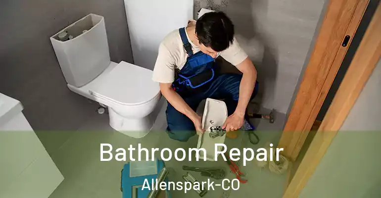 inner Bathroom imggen Bathroom Repair Allenspark-CO