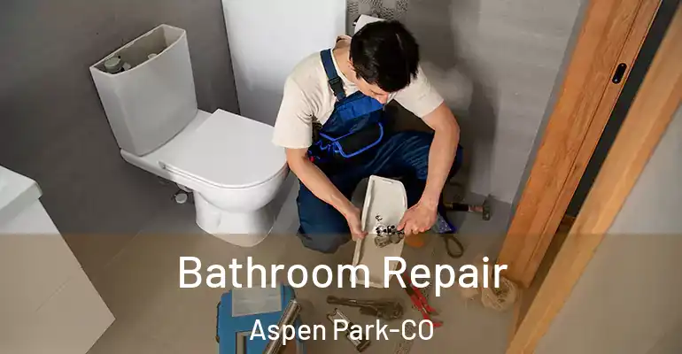 inner Bathroom imggen Bathroom Repair Aspen Park-CO