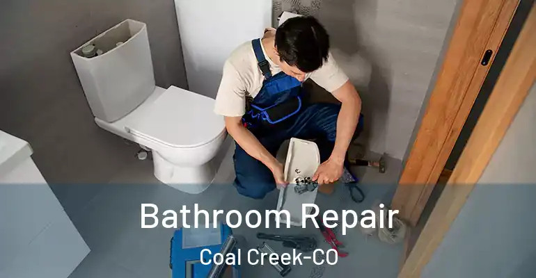 inner Bathroom imggen Bathroom Repair Coal Creek-CO