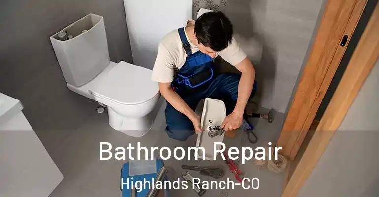 inner Bathroom imggen Bathroom Repair Highlands Ranch-CO