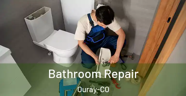 inner Bathroom imggen Bathroom Repair Ouray-CO