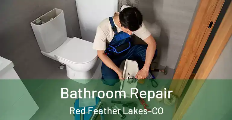 inner Bathroom imggen Bathroom Repair Red Feather Lakes-CO