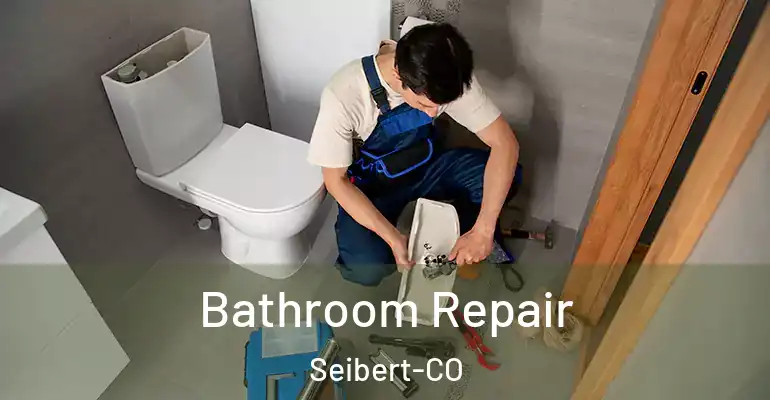 inner Bathroom imggen Bathroom Repair Seibert-CO