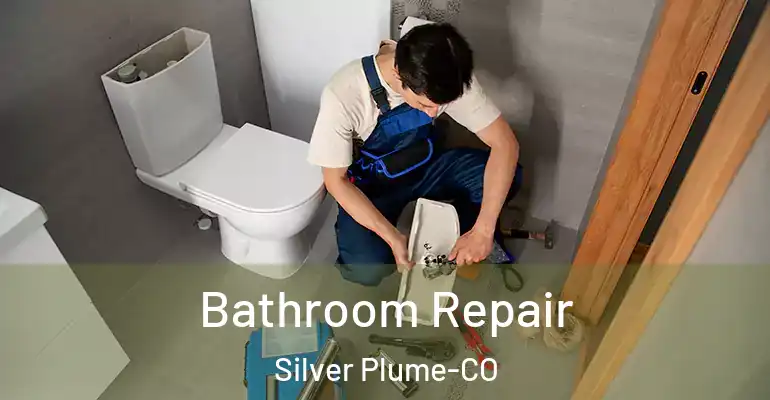 inner Bathroom imggen Bathroom Repair Silver Plume-CO