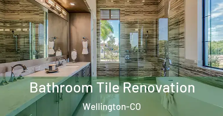 inner Bathroom imggen Bathroom Tile Renovation Wellington-CO