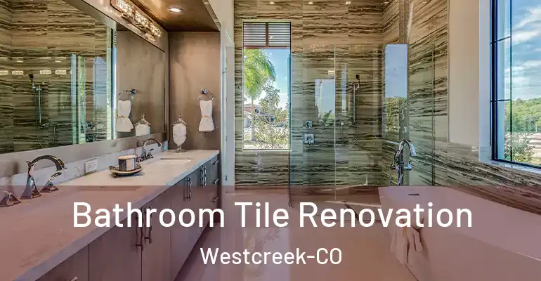 inner Bathroom imggen Bathroom Tile Renovation Westcreek-CO
