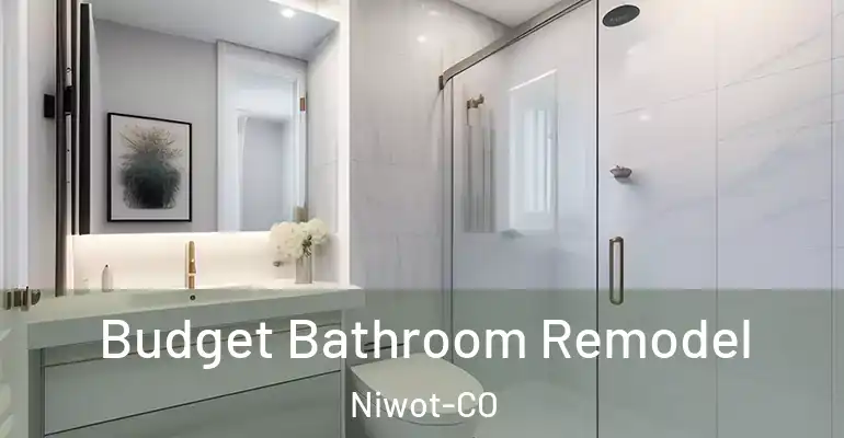 inner Bathroom imggen Budget Bathroom Remodel Niwot-CO