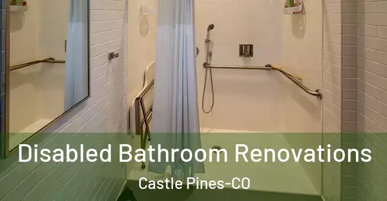 inner Bathroom imggen Disabled Bathroom Renovations Castle Pines-CO