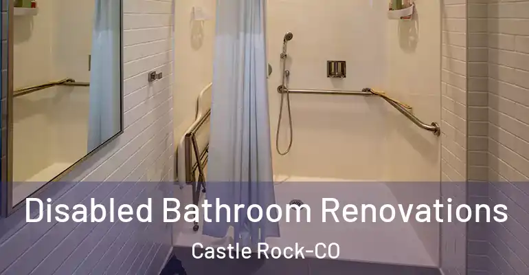 inner Bathroom imggen Disabled Bathroom Renovations Castle Rock-CO