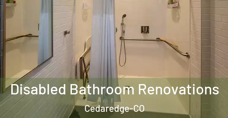 inner Bathroom imggen Disabled Bathroom Renovations Cedaredge-CO