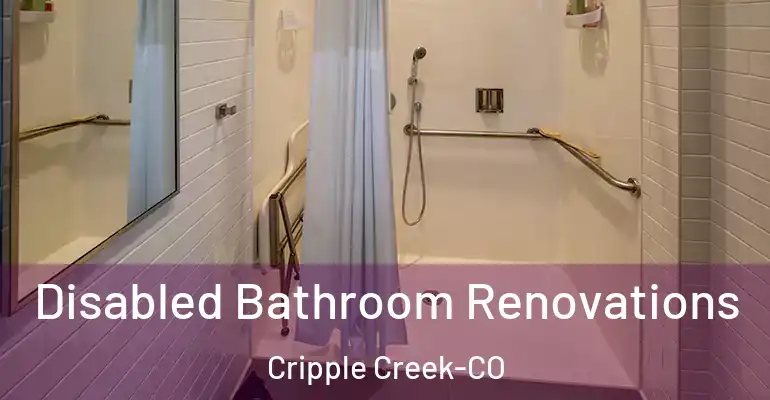inner Bathroom imggen Disabled Bathroom Renovations Cripple Creek-CO