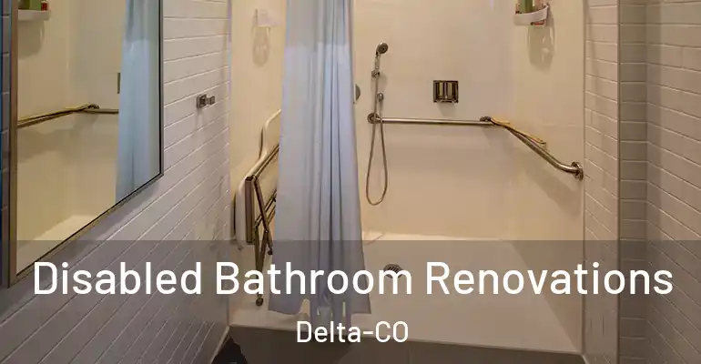 inner Bathroom imggen Disabled Bathroom Renovations Delta-CO