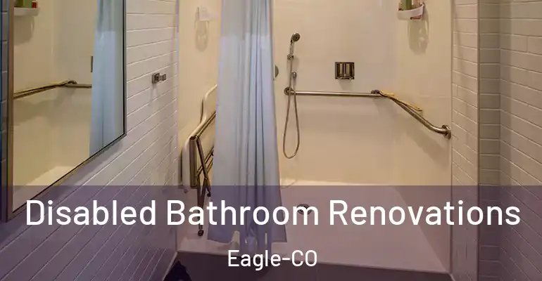 inner Bathroom imggen Disabled Bathroom Renovations Eagle-CO
