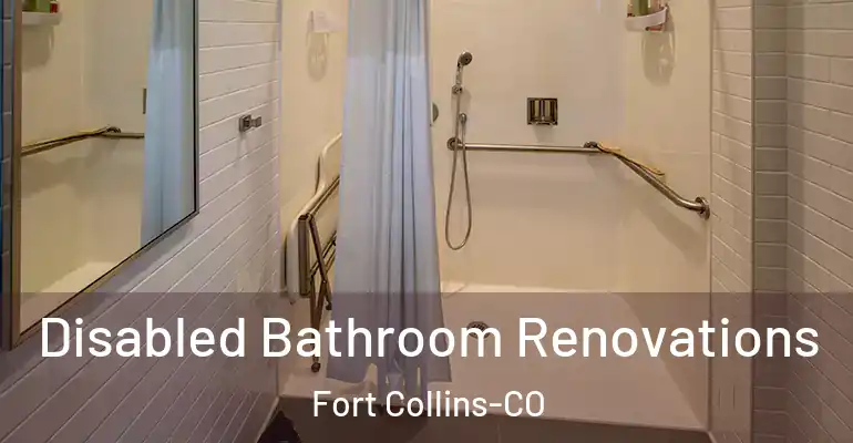 inner Bathroom imggen Disabled Bathroom Renovations Fort Collins-CO