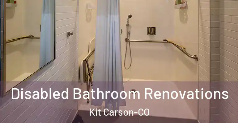 inner Bathroom imggen Disabled Bathroom Renovations Kit Carson-CO