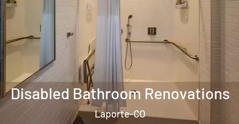 inner Bathroom imggen Disabled Bathroom Renovations Laporte-CO