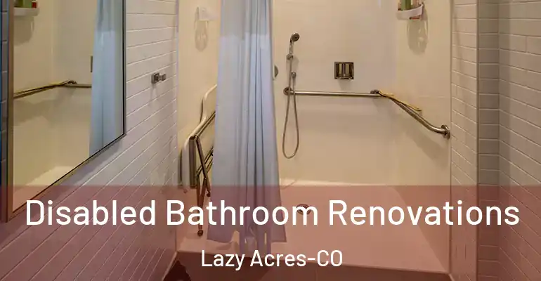 inner Bathroom imggen Disabled Bathroom Renovations Lazy Acres-CO