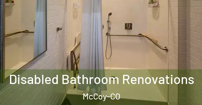 inner Bathroom imggen Disabled Bathroom Renovations McCoy-CO