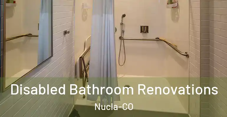 inner Bathroom imggen Disabled Bathroom Renovations Nucla-CO