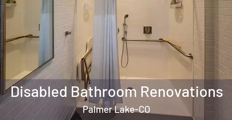 inner Bathroom imggen Disabled Bathroom Renovations Palmer Lake-CO