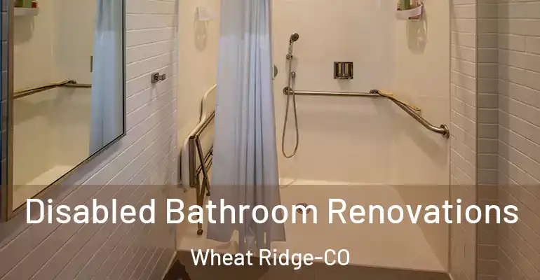 inner Bathroom imggen Disabled Bathroom Renovations Wheat Ridge-CO