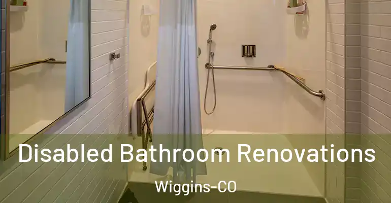 inner Bathroom imggen Disabled Bathroom Renovations Wiggins-CO
