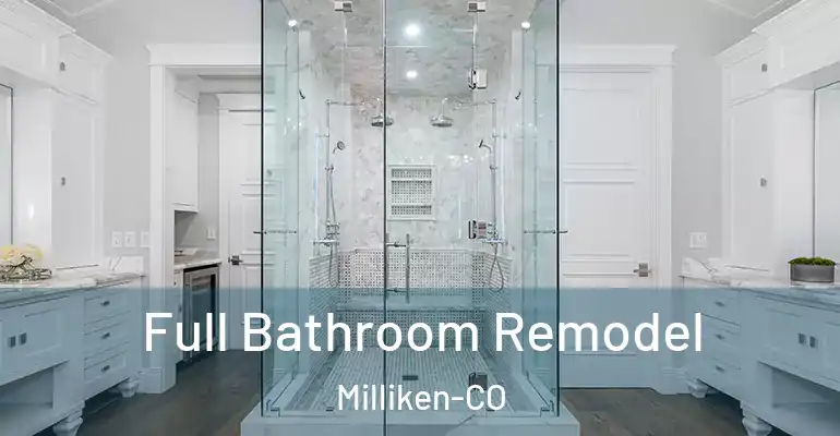 inner Bathroom imggen Full Bathroom Remodel Milliken-CO